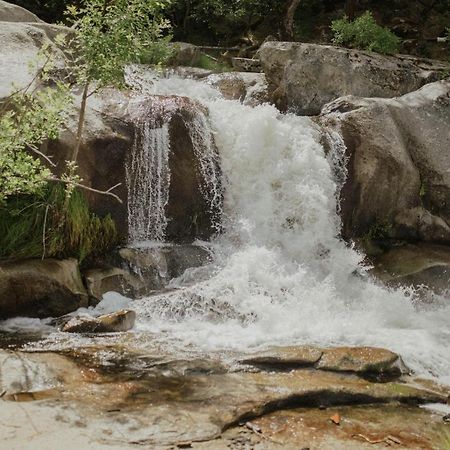 Riverfront Property With Waterfalls Near Yosemite And Bass Lake Окхерст Экстерьер фото