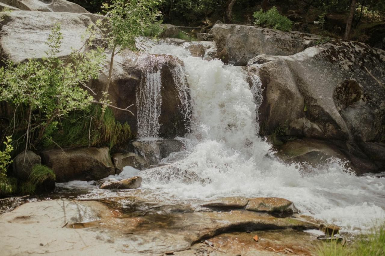 Riverfront Property With Waterfalls Near Yosemite And Bass Lake Окхерст Экстерьер фото